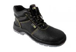 Botin segpro
